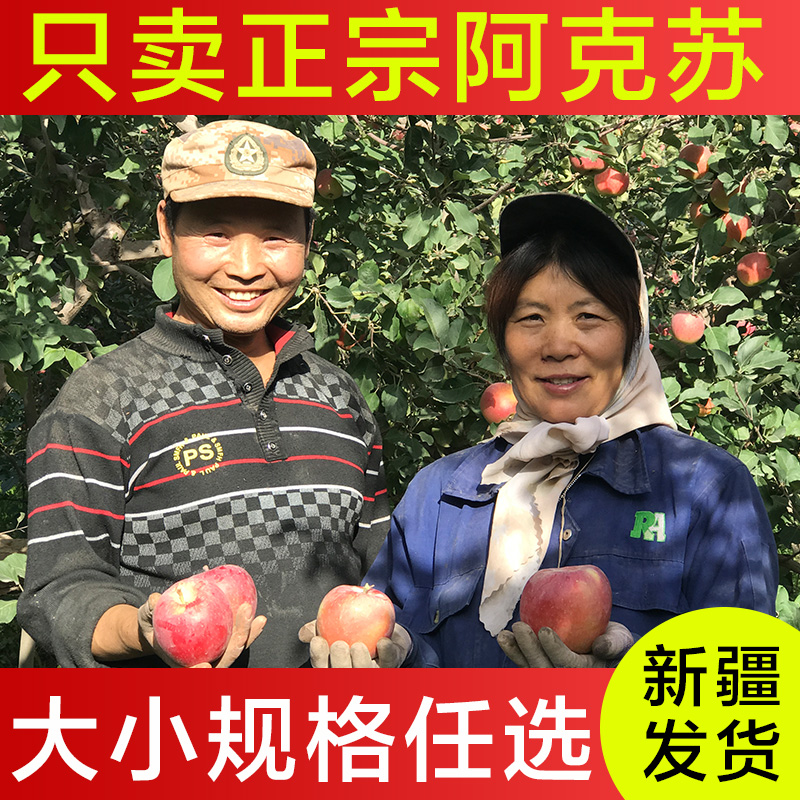 新疆阿克苏冰糖心苹果新鲜当季水果丑萍果甜特级大红富士整箱10斤